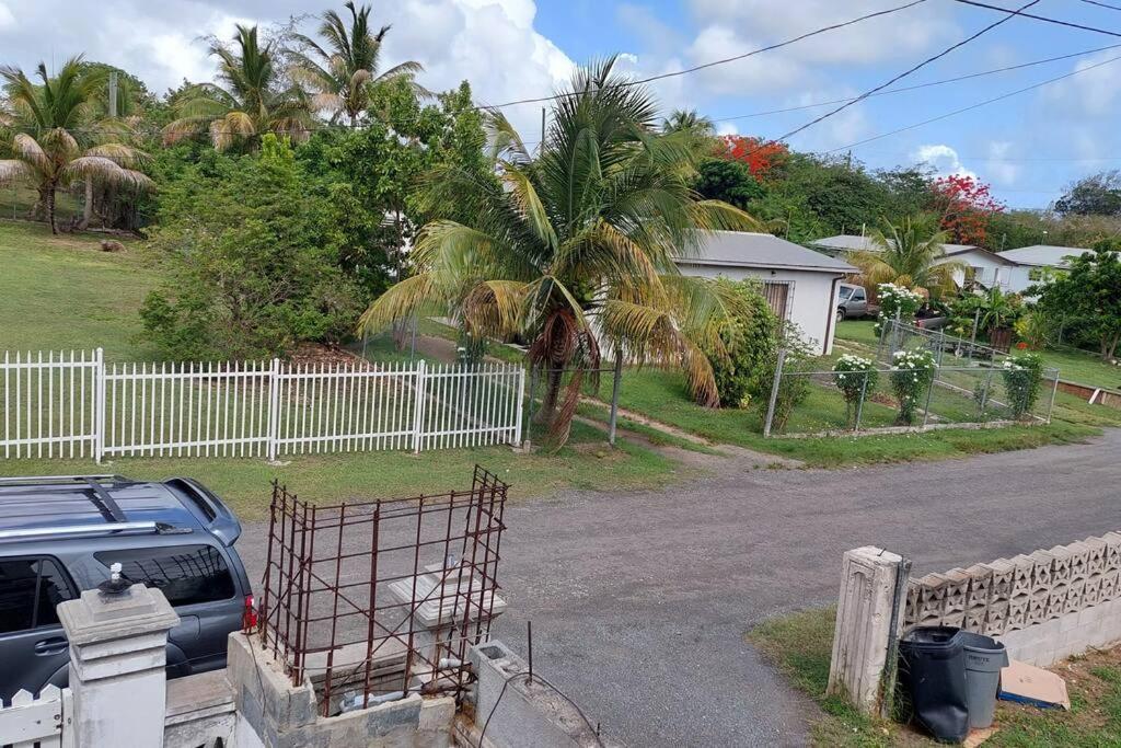 Conveniently Located, Quiet & Amp; Comfortable Christiansted Eksteriør billede